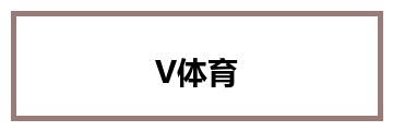 V体育