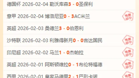 拜仁125周年庆典：2月27日安联球场上演红白光影盛宴